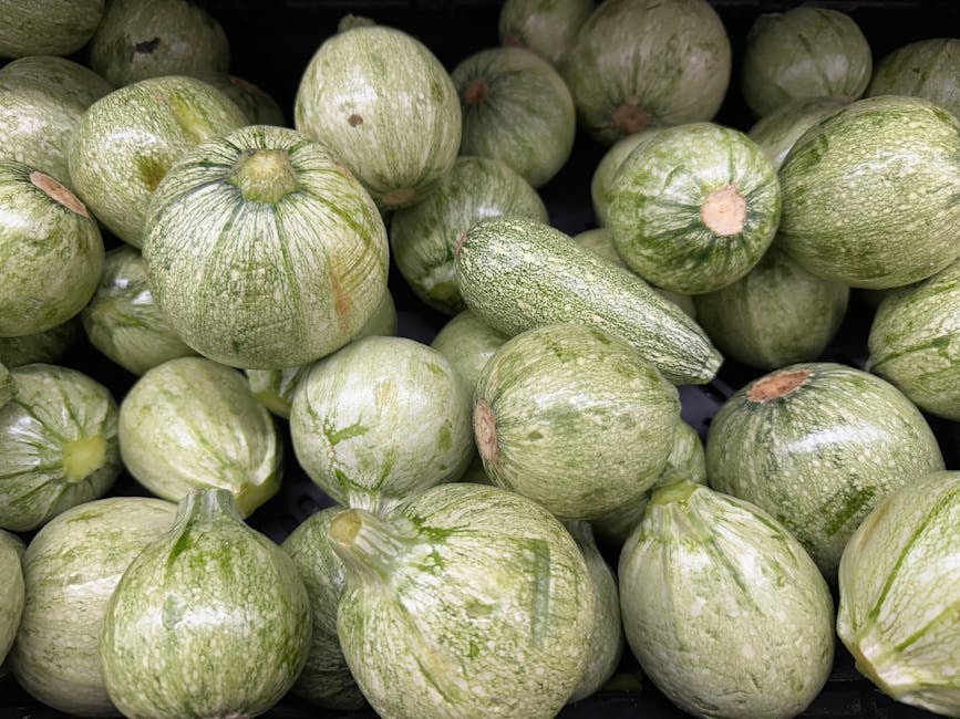 SEED_ASSET:pc-5351-zucchine-op-it01098765432-2-1.jpg