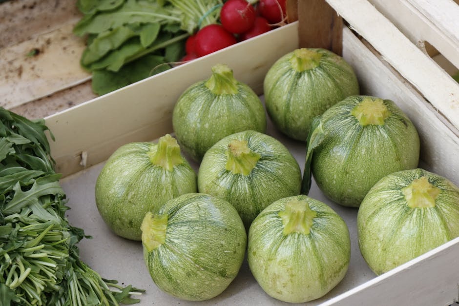 SEED_ASSET:pc-5351-zucchine-op-it01098765432-2-3.jpg