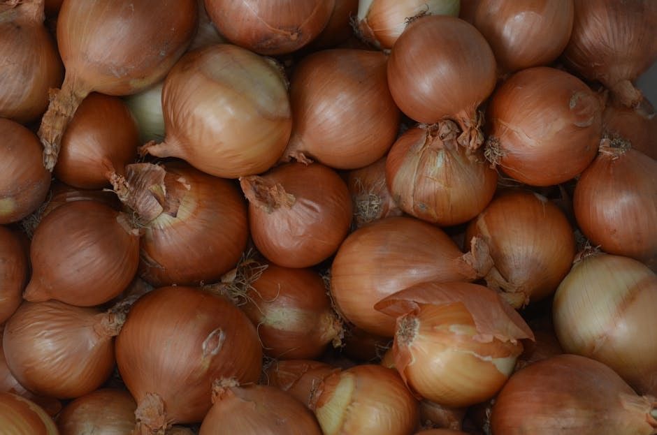 SEED_ASSET:pc-1601-cipolle-op-it03210987654-2-3.jpg