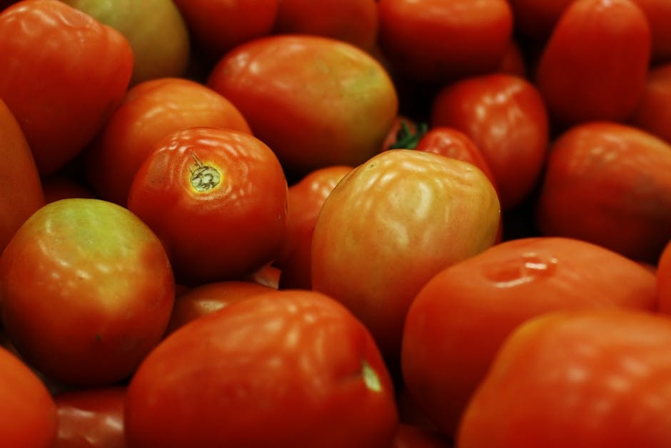 SEED_ASSET:pc-4301-pomodori-op-it02109876543-1-2.jpg