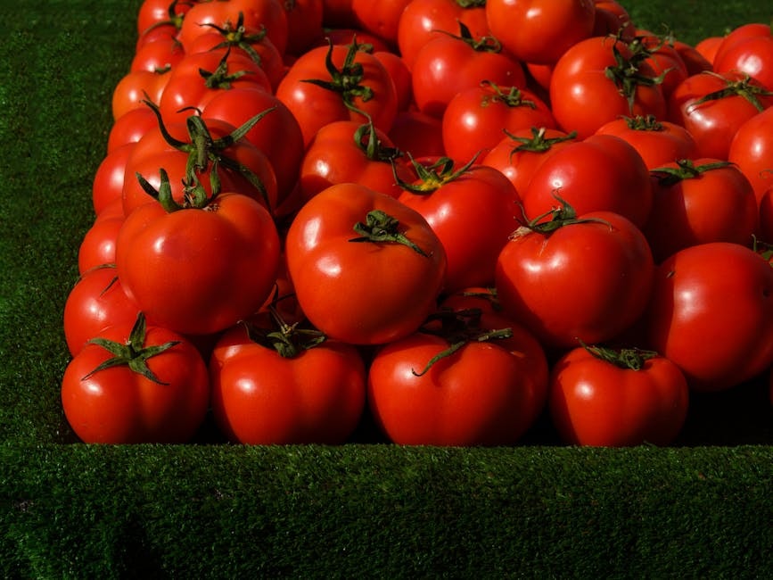 SEED_ASSET:pc-4301-pomodori-op-it02109876543-3-1.jpg